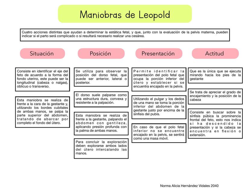 Maniobras de Leopold RESUMEN