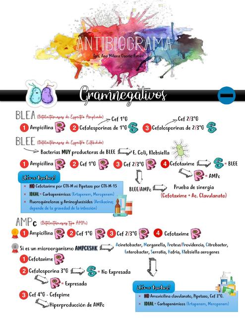 Lectura interpretativa de Antibiograma