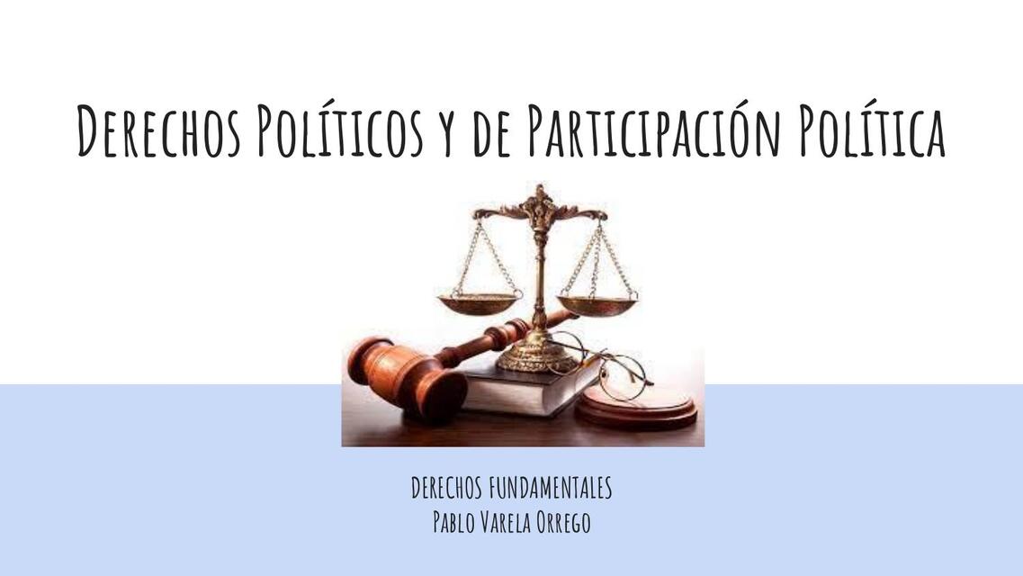 Derechos Políticos y de Participación Política  