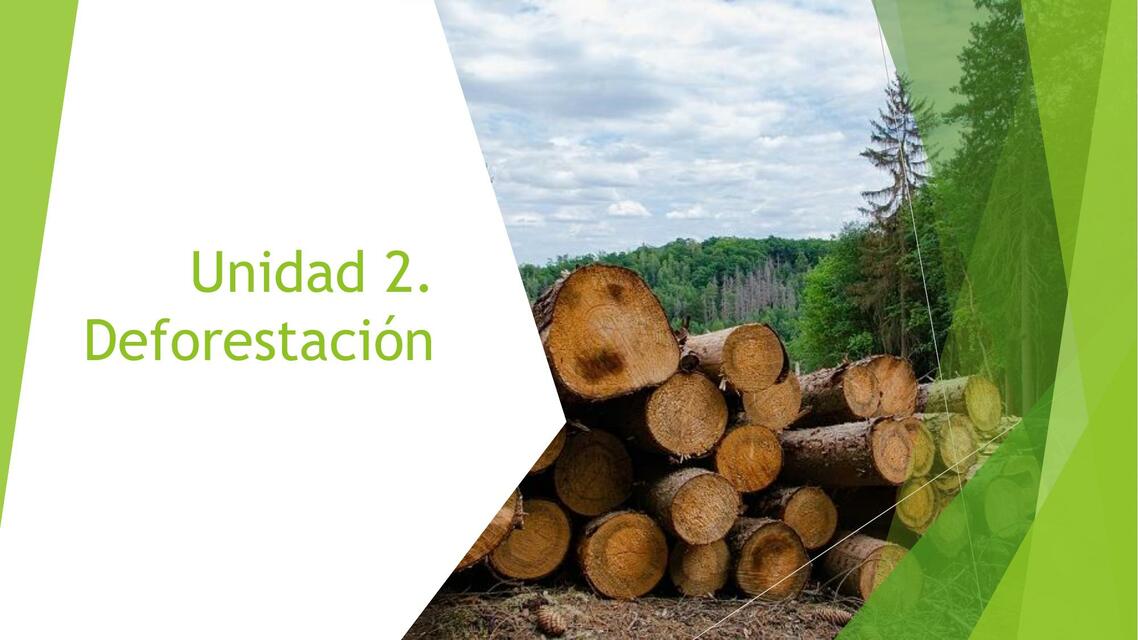 Unidad 2 Deforestación