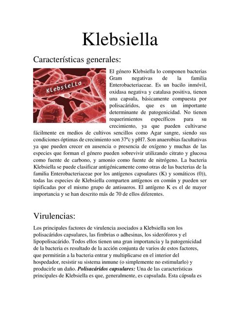 Klebsiella