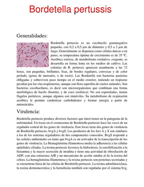 Bordetella Pertussis