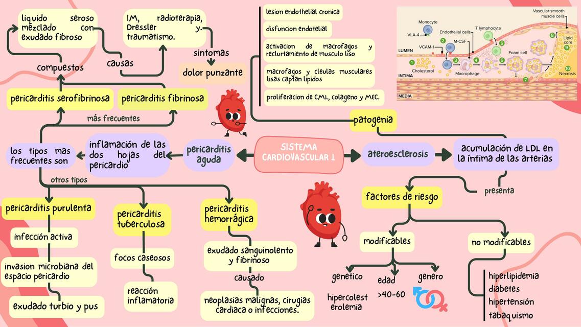 Aterosclerosis