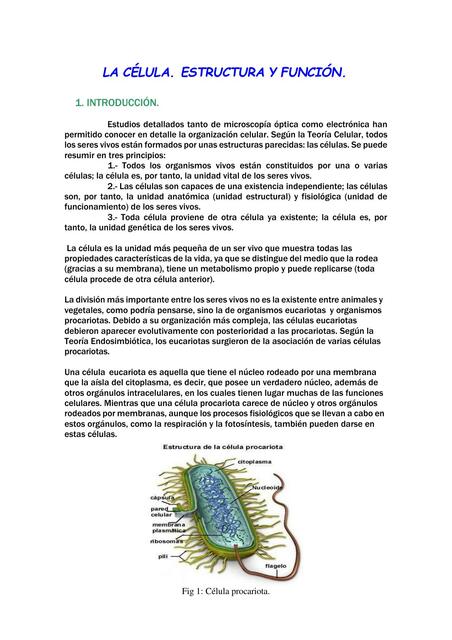 La célula: estructura y función 