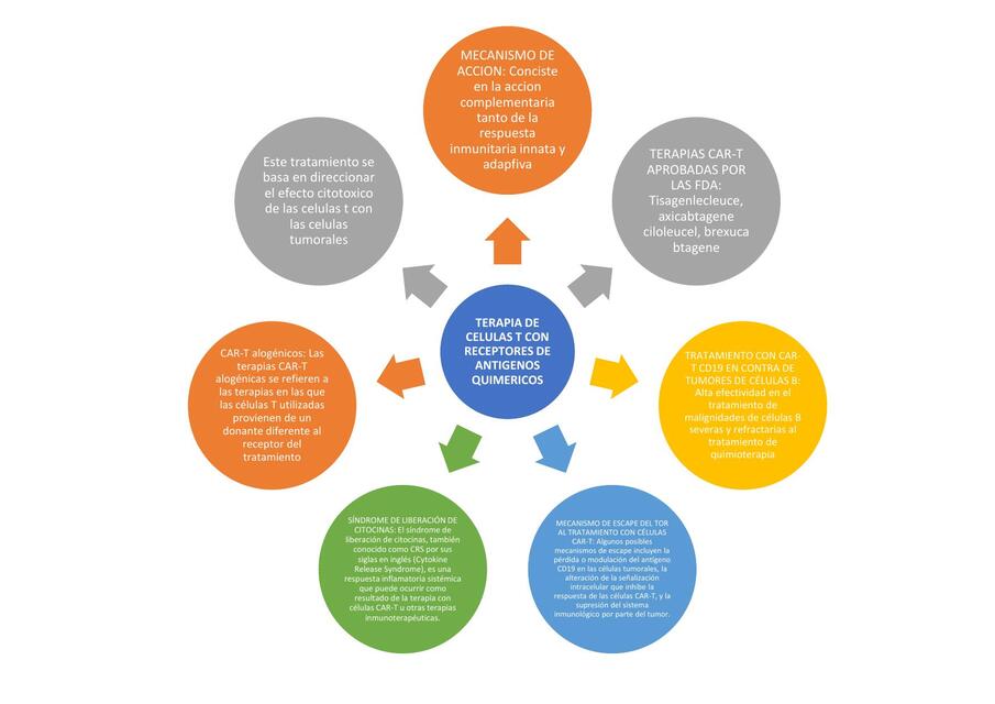 Terapia de células T  con receptores de antígenos quiméricos    