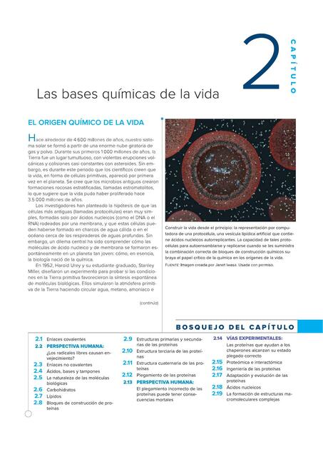 Capítulo 2 Las bases químicas de la vida 