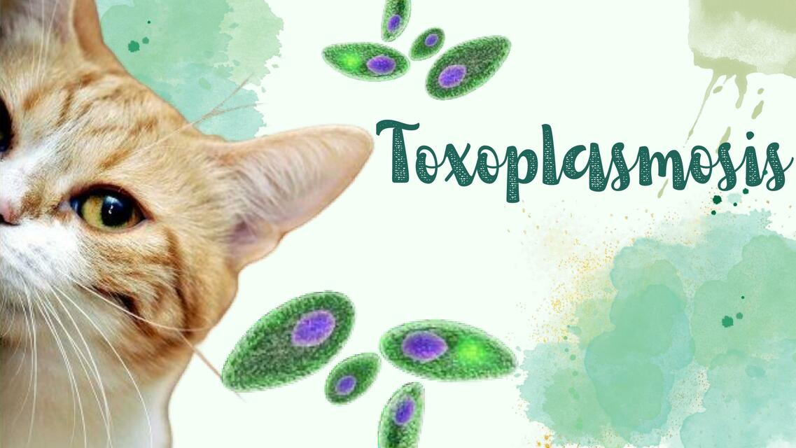 Toxoplasmosis