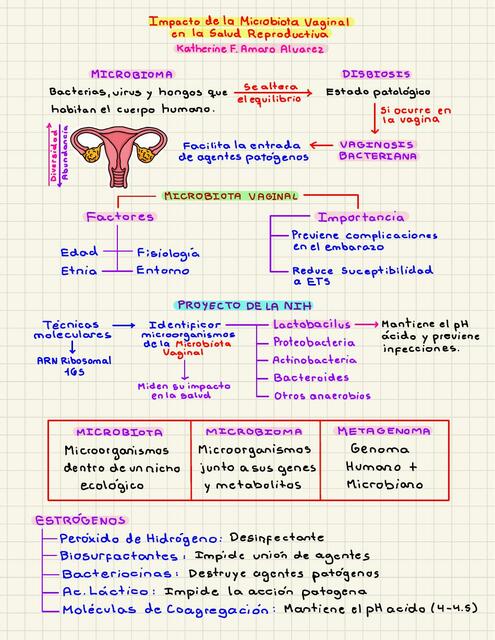 Microbiota vaginal 