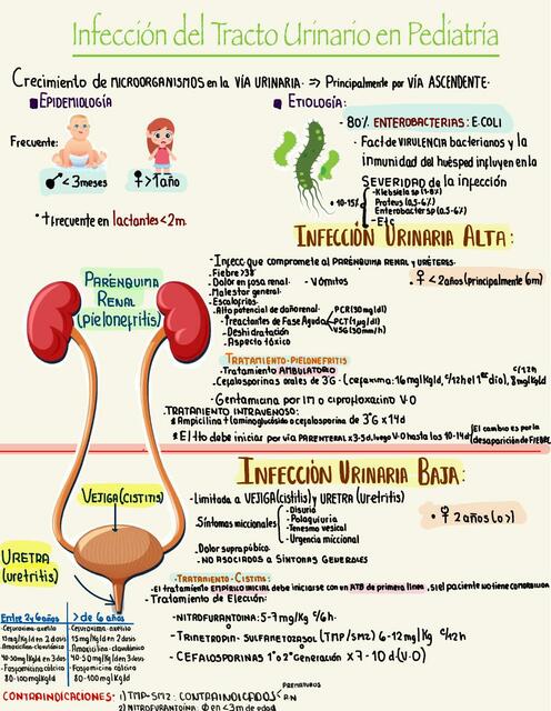 Infección del Tracto Urinario en Pediatría 