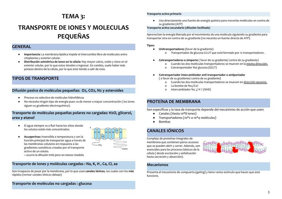 Transporte de iones y moléculas pequeñas