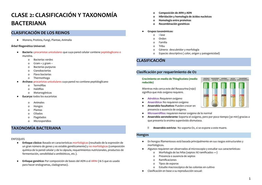 Clasificación y taxonomía bacteriana