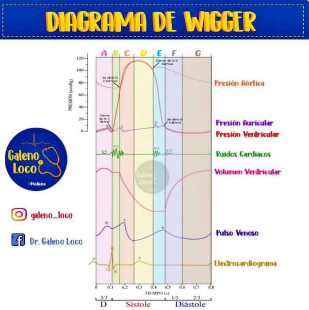 Ciclo Cardiaco