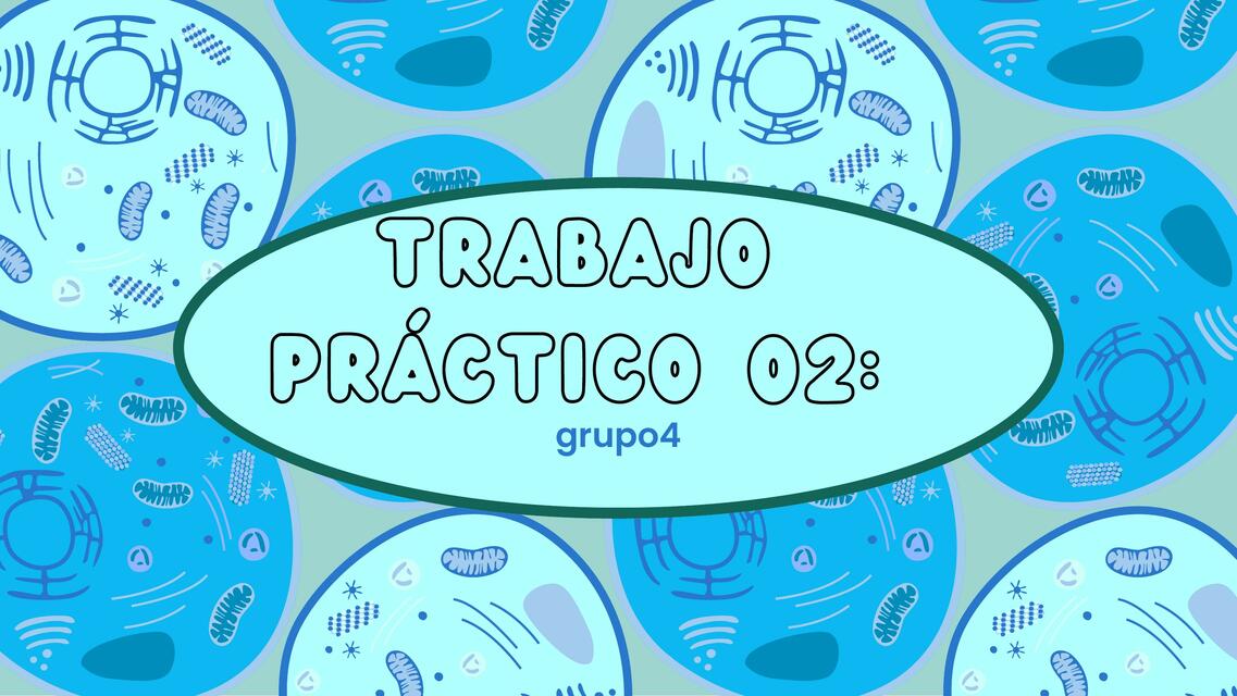 Trabajo práctico 02 