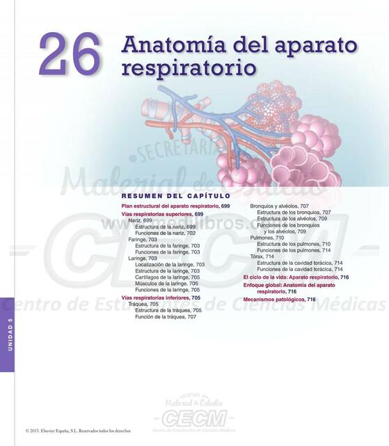 Anatomía Aparato Respiratorio