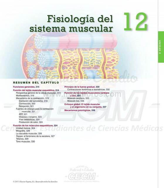 Fisiología del sistema muscular 