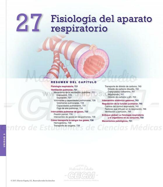 Fisiología Aparato Respiratorio