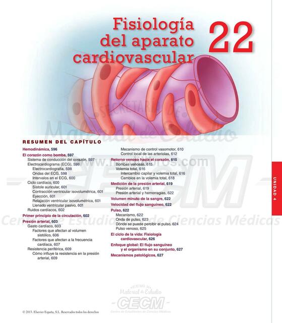 Fisiología Cardiovascular