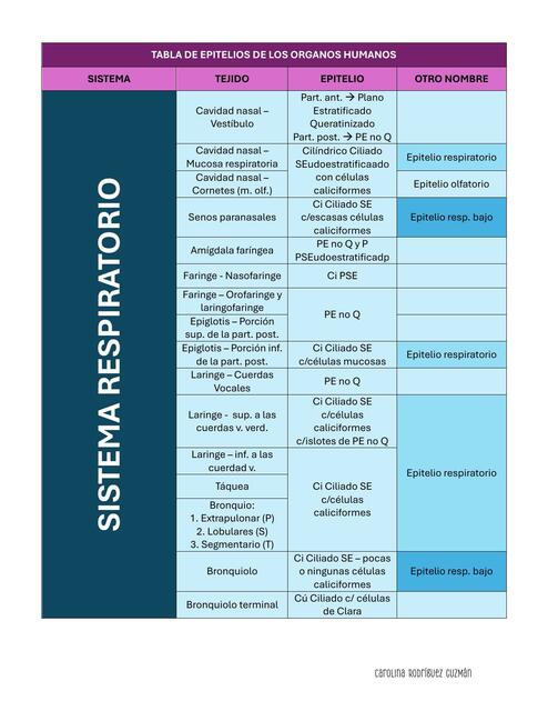 Tabla de Epitelios de los Órganos Humanos 