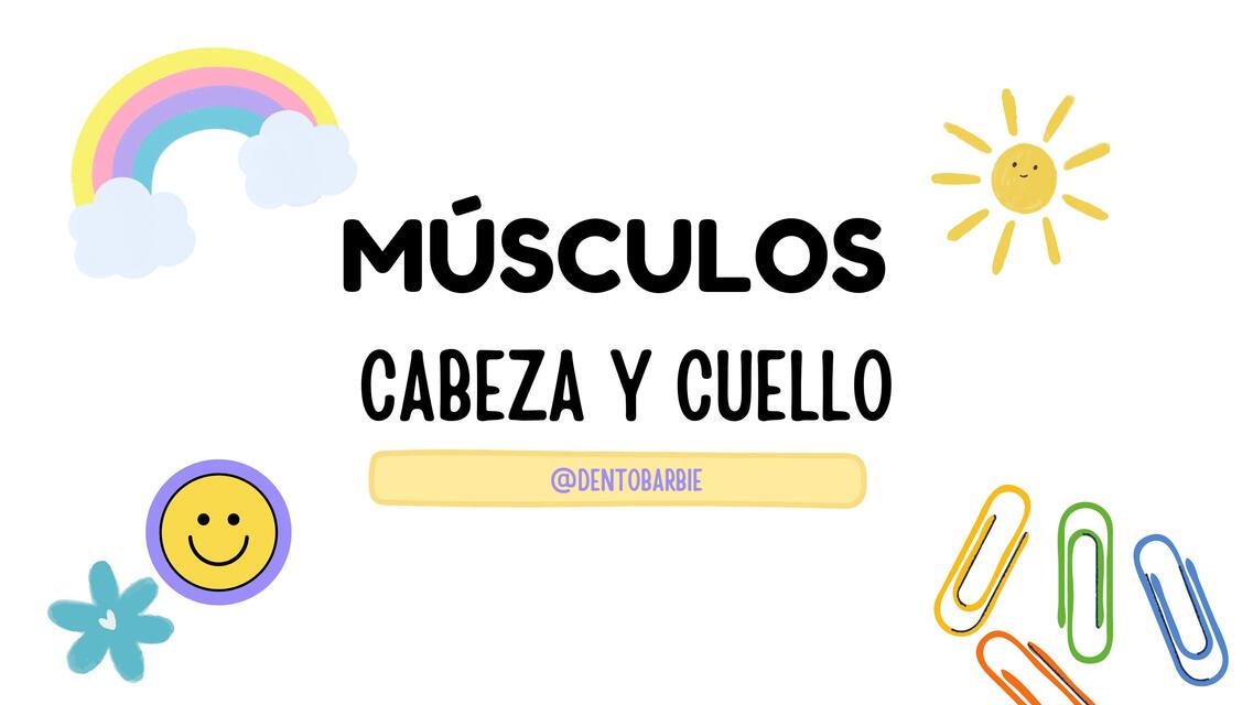 Músculos Cabeza y Cuello 