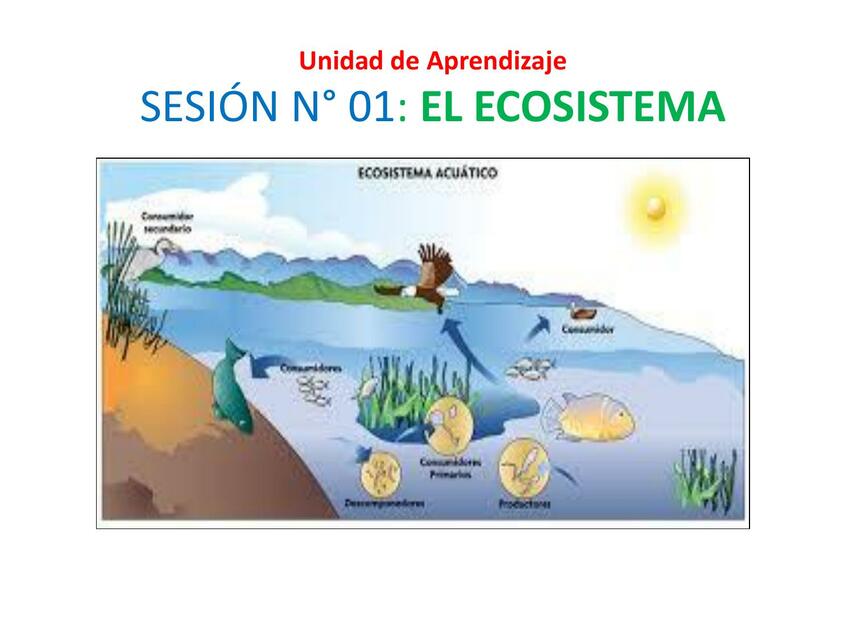 Ecosistema 