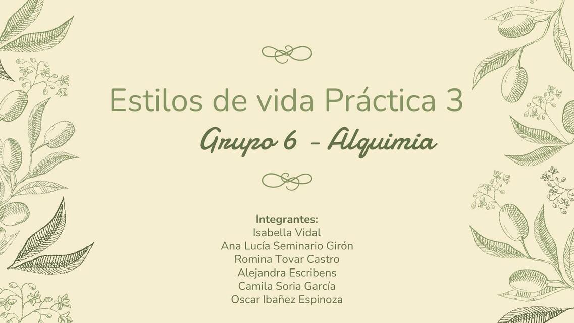 Estilos de vida Practica 3 grupo 6