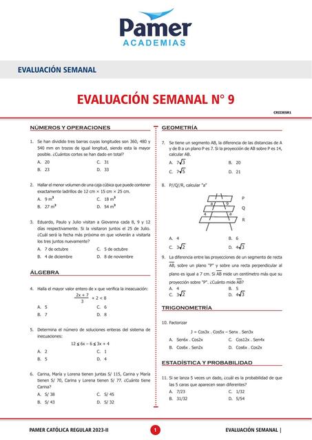 Evaluación semanal N° 9 