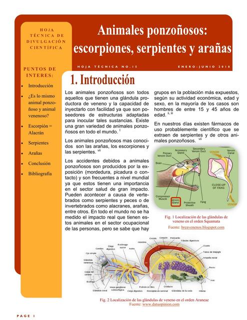 Animales Ponzonosos escorpiones serpientes y arañas