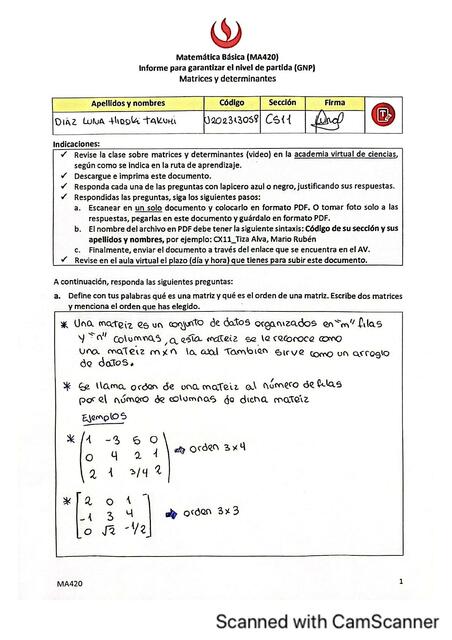 Matrices y Determinantes 