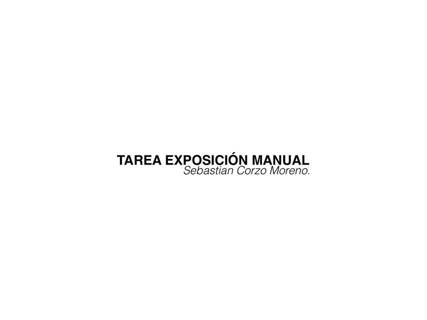 Tarea Exposición Manual 