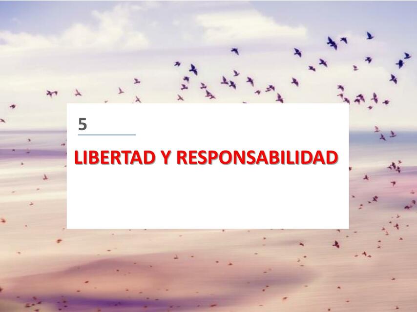 Libertad y Responsabilidad 