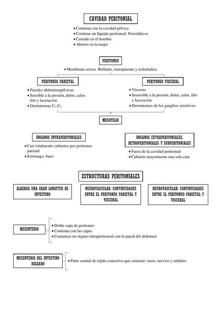 Cavidad Peritoneal 