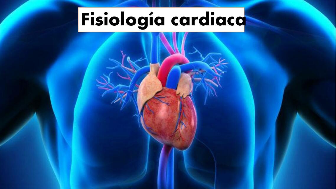 Fisiología Cardiaca 