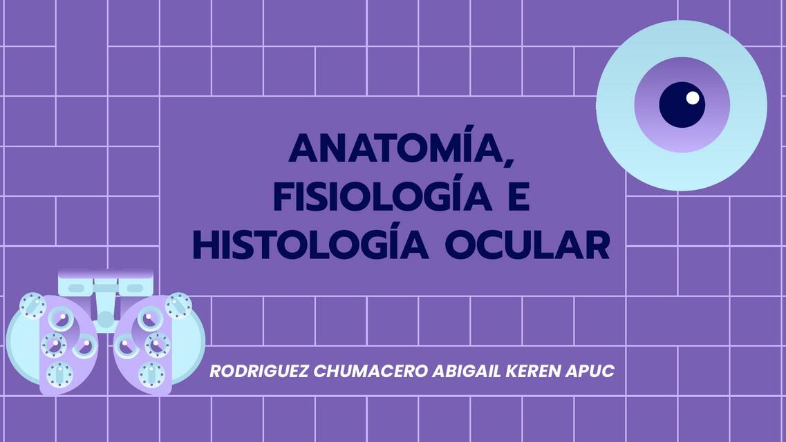 Anatomía fisiología e histología ocular