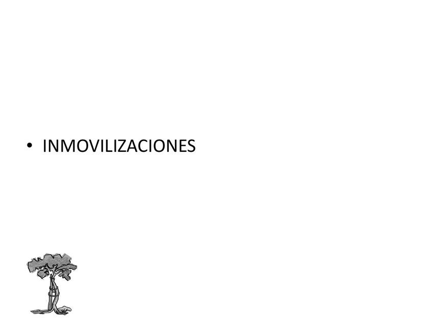 Inmovilizaciones   