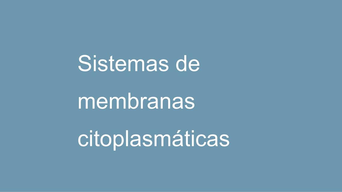 Sistemas de endomembranas