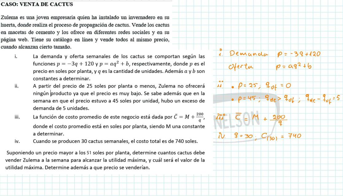 Caso: Ventas de Cactus 