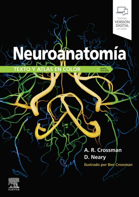 Neuroanatomía Texto y Atlas en Color