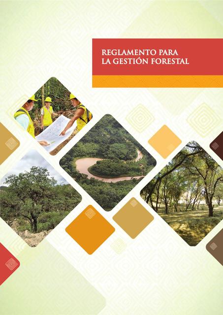 REGLAMENTO PARA LA GESTION FORESTAL 1