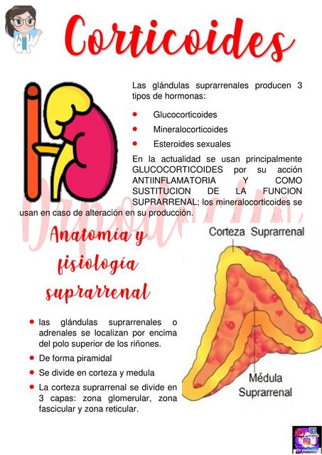 RESUMEN DE CORTICOIDES 