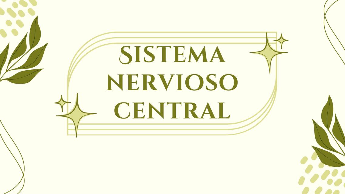 Sistema nervioso central