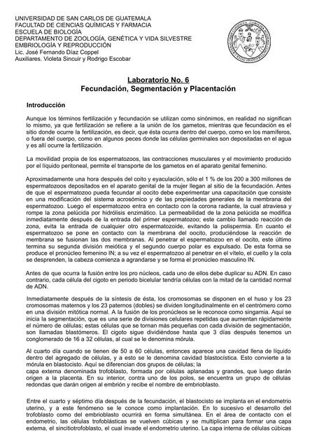 Práctica 6 Fecundación Segmentación y Placentación