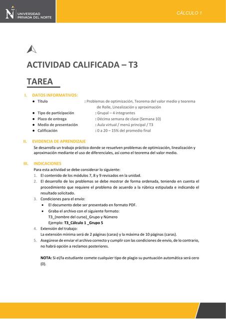 Actividad calificada 