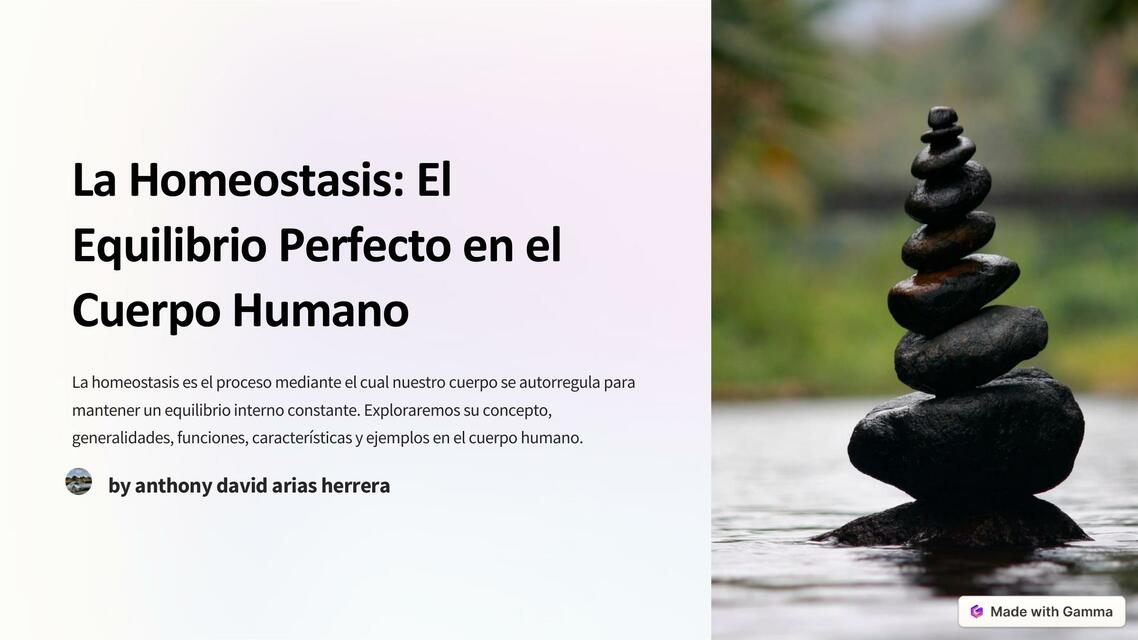 La Homeostasis El Equilibrio Perfecto en el Cuerpo