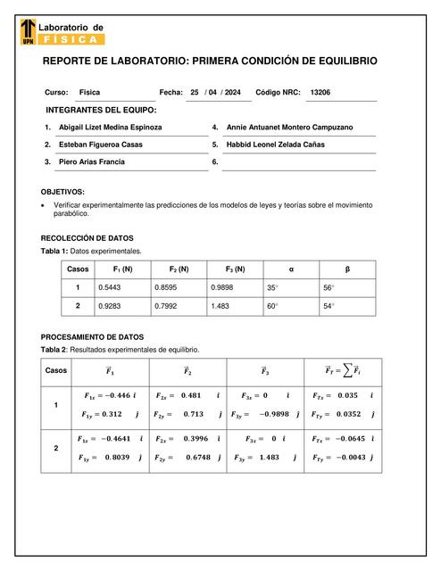 Primera Condición de Equilibrio 