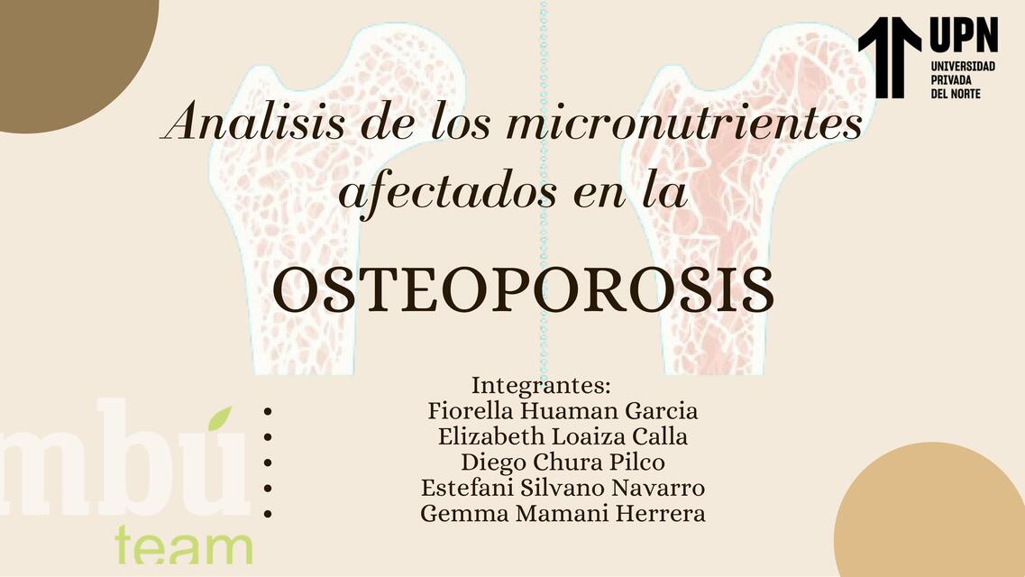 Todos los micronutrientes afectados en la osteoporosis  