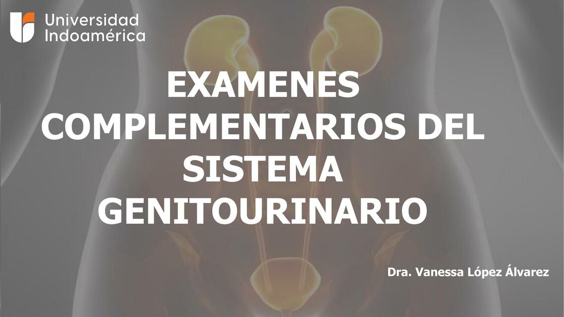 Exámenes complementarios sistema genitourinario