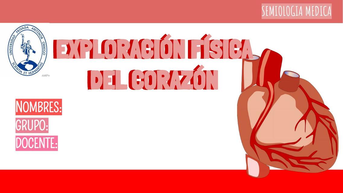 Exploración física del corazón