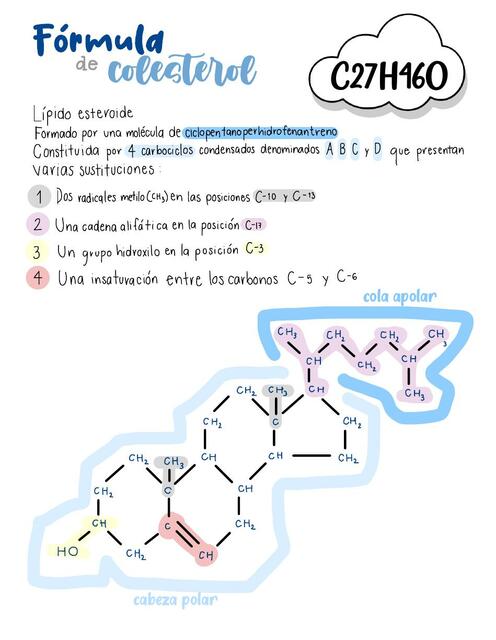 Fórmula Colesterol