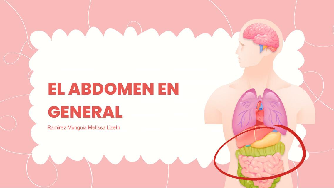 El abdomen en general.