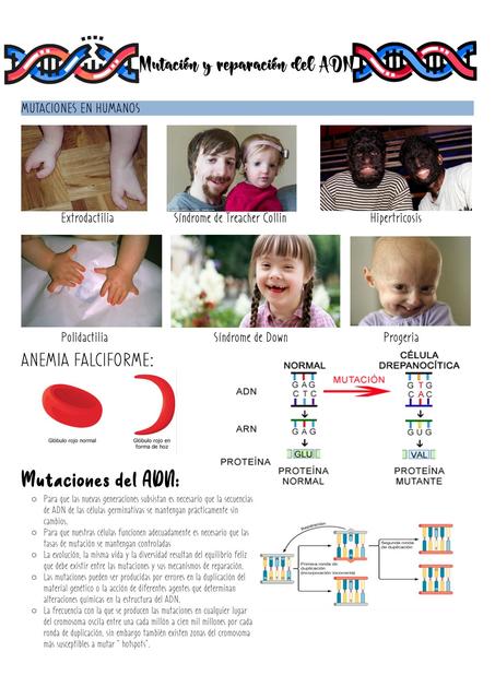 MUTACIÓN Y REPARACIÓN DEL ADN